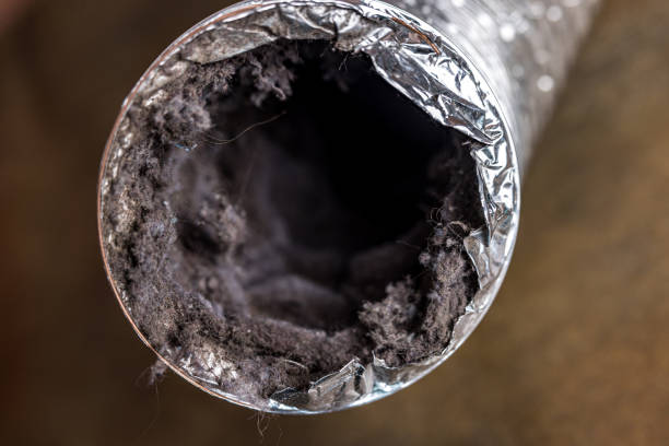 Ductwork Cleaning Services in Roessleville, NY